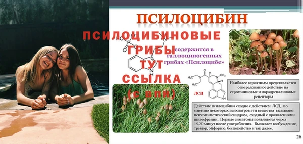 мяу мяу кристалл Лихославль