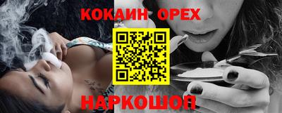 стафф Дубна