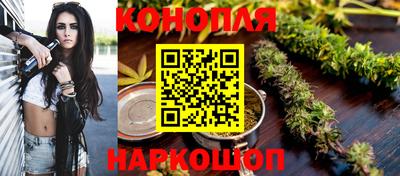 стафф Дубна