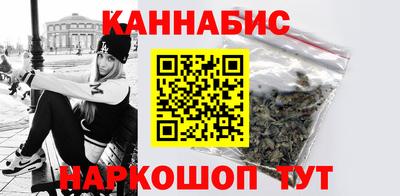 стафф Дубна