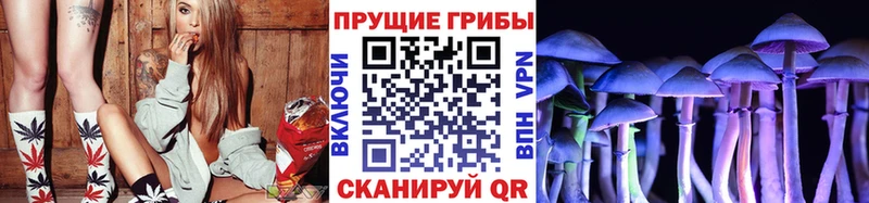 где купить наркоту  shop состав  Псилоцибиновые грибы Psilocybe  Луга 