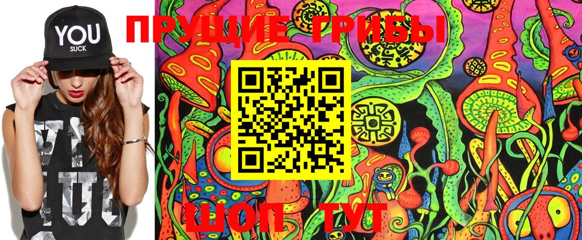 Псилоцибиновые грибы MAGIC MUSHROOMS  Вход с VPN  Луга 